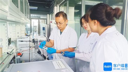 海南大学科研团队持续优化电解水制氢技术 科研成果加快迈出 实验室 跃向 生产线